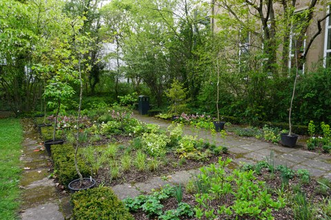 Hülle-Hof Lehrbeet