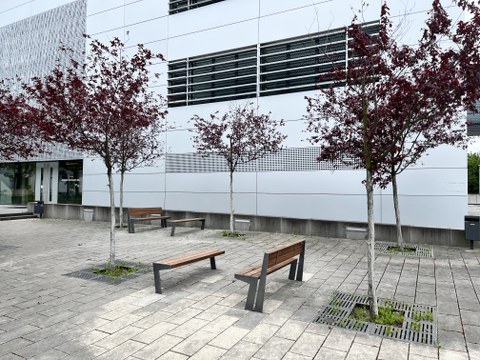 Lernort am Werner-Hartmann-Bau