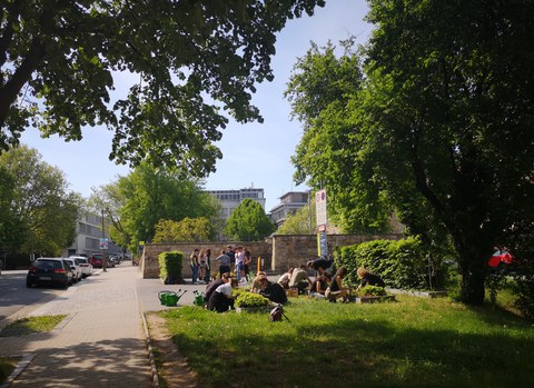 Studierende bepflanzen die Beete am Barkhausen-Bau.