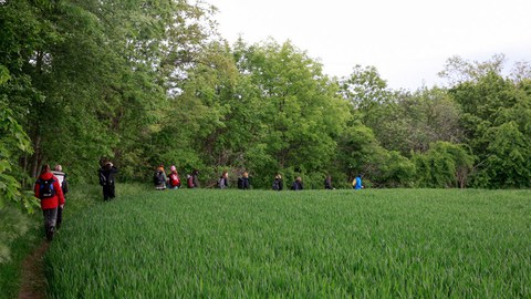 Foto einer Wanderung am grünen Feldrand