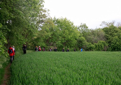 Foto einer Wanderung am grünen Feldrand