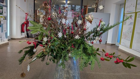 Foto vom botanischen Adventskalender des Instituts für Landschaftsarchitektur