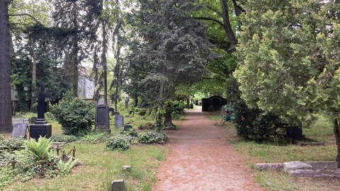 Foto vom Inneren Friedhof Dresden Neustadt