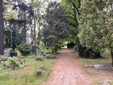 Foto vom Inneren Friedhof Dresden Neustadt