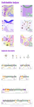 Poster Städtebau Architekturentwurf