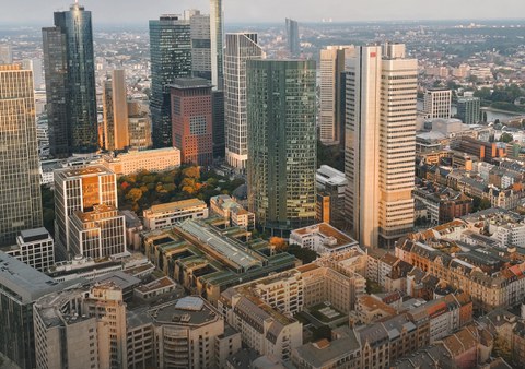 Das Bild zeigt die Skyline von Frankfurt.