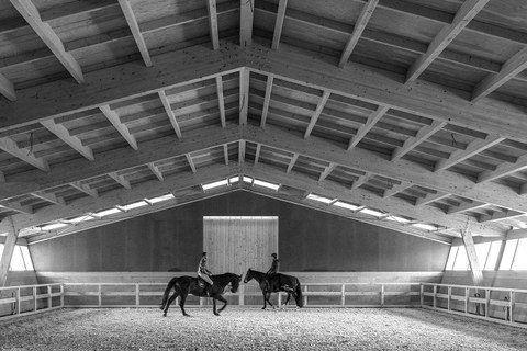 Equestrian Centre in Leça da Palmeira