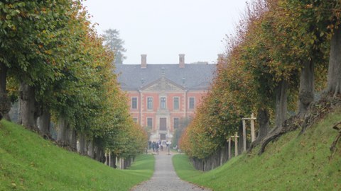 Foto zeigt die Baumallee zum Schloss Bothmer.