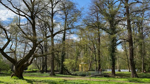 Blick über die Parkwiese von Schloss Jahnishausen zum Pavillon auf der Insel.