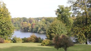 Foto zeigt den Park Babelsberg. Eine Wiese grenzt direkt an einen Teich, welcher von unzähligen Gehölzen umgeben ist. 