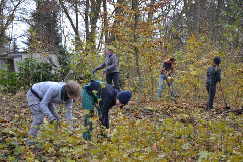 Foto zeigt Pflegearbeiten im Schlosspark.