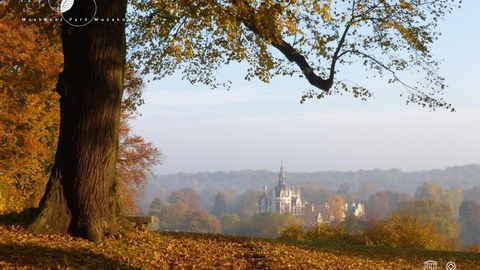 Bild vom Schloss in Bad Muskau aus dem Park fotografiert