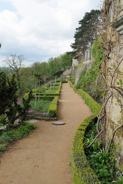 Blick auf den Terrassengarten des Schlosses Eckberg in Dresden.