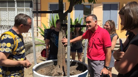 Foto zeigt Paolo Galeotti am Zitrusbaum, der umgeben von Lehrenden und Studenten ist. 