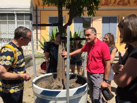 Foto zeigt Paolo Galeotti am Zitrusbaum, der umgeben von Lehrenden und Studenten ist. 