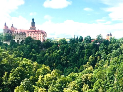 Blick über den Fürstensteiner Grund zum Schloss Fürstenstein