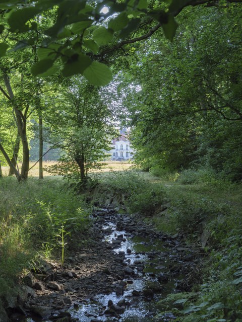 Blick aus dem Bachbett zum Schloss Reinhardtsgrimma