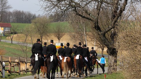 Foto zeigt die Osterreiter auf dem Weg nach Panschwitz-Kuckau.