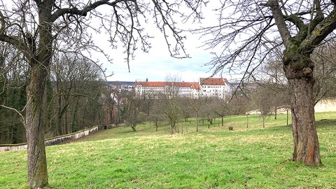 Blick auf Schloss Colditz von der ehemaligen Schlossgärtnerei