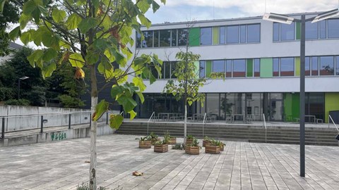 Gymnasium Bühlau