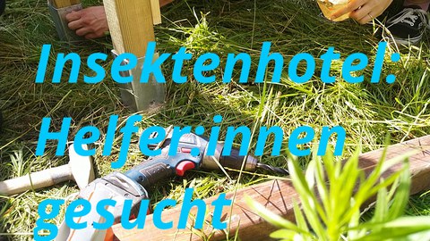 Helfer:innen gesucht für Insektenhotel