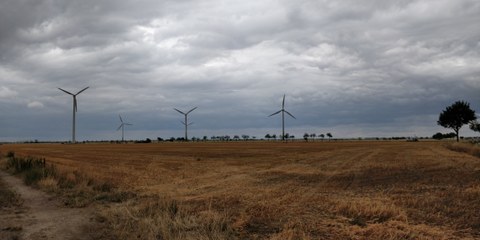 Foto eines Feldes mit Windrädern im Hintergrund