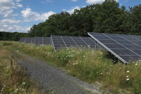 Photovoltaikanlage auf der Wiese