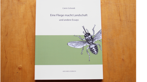 Foto der Publikation "Eine Fliege macht Landschaft" auf einem Tisch liegend.