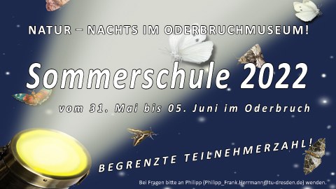 Ankündigung der Sommerschule 2022 Natur - Nachts im Oderbruchmuseum vom 31.5. bis 5.6. im Oderbruch - begrenzte Teilnehmerzahl. Das Bild zeigt verschiedene Insekten im LIchtkegel einer Taschenlampe