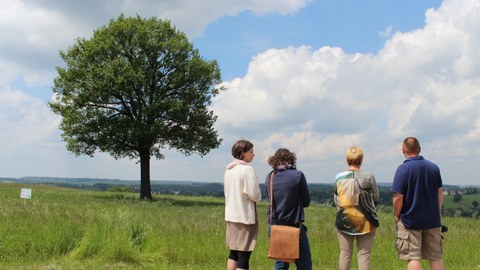 Das Bild zeigt einen Personengruppe, welche die umgebende Wiesenlandschaft genauer betrachtet.
