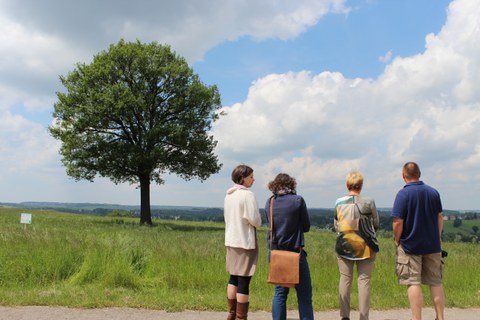 Das Bild zeigt einen Personengruppe, welche die umgebende Wiesenlandschaft genauer betrachtet.