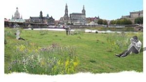 Fotocollage Elbwiesen Dresden mit Blick auf die Altstadt