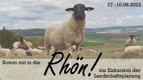 Komm mit in die Rhön! Exkursion zur Landschaftsplnaung 7.-10.6.2022. Zu sehen ist ein Schaf vor der weiten Landschaft der Rhön.