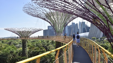 Foto der Singapore Supertrees