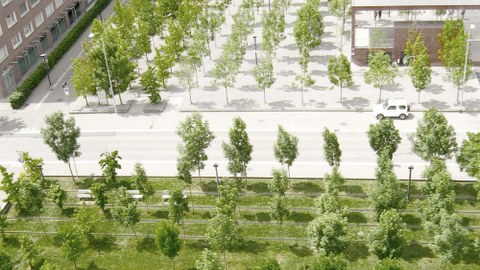 graphische Darstellung eines öffentlichen Platzes mit Wiese, Bäumen und versiegelter Fläche