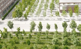 graphische Darstellung eines öffentlichen Platzes mit Wiese, Bäumen und versiegelter Fläche