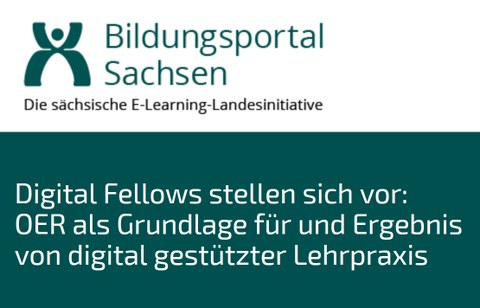 Digital Fellows