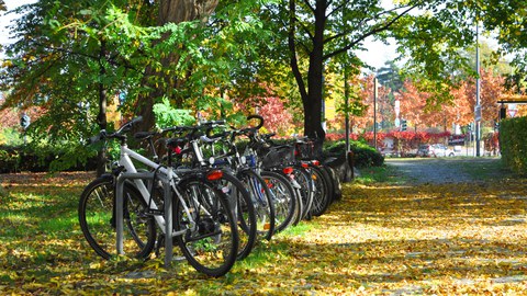 Neufferbau im Herbst