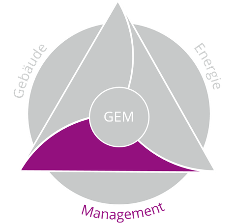 Schaubild GEM Management