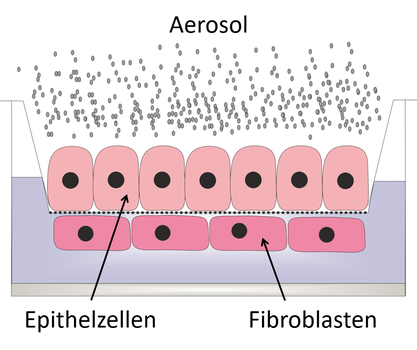 Schema Zellbeaufschlagung