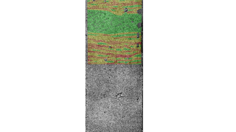 Visualisierung des Risszustandes einer SHCC-Zugprobe