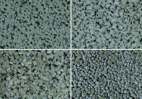 Surfaces of lightweight aggregate concrete with open structure