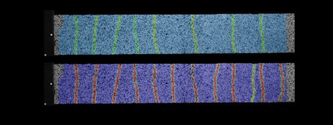 Entwicklung von Rissen, mit einem photogrammetrischen Messsystem an einem Carbonbeton-Dehnkörper beobachtet 