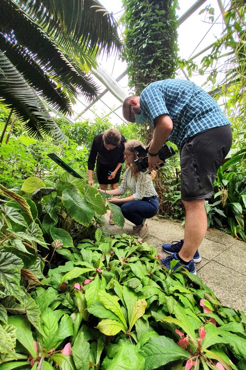 Lernen von der Natur – Dreharbeiten im Botanischen Garten Dresden