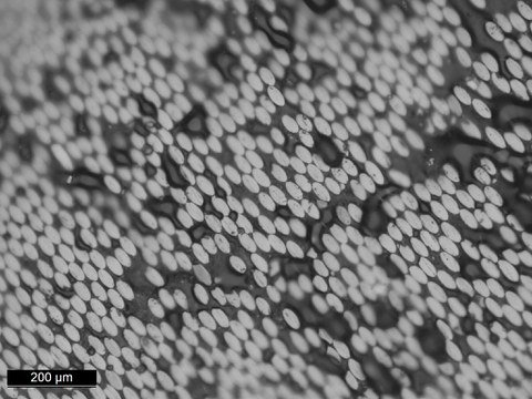 Querschnitt eines mit Epoxidharz getränkten Garns aus rezyklierten Carbonfasern 