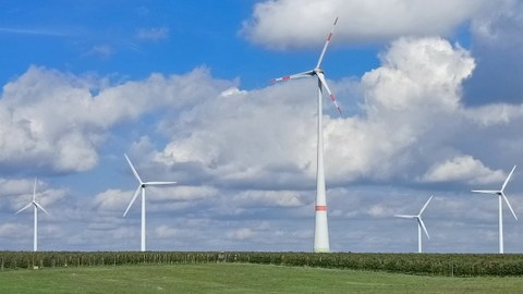 Foto zeigt mehrere Windräder