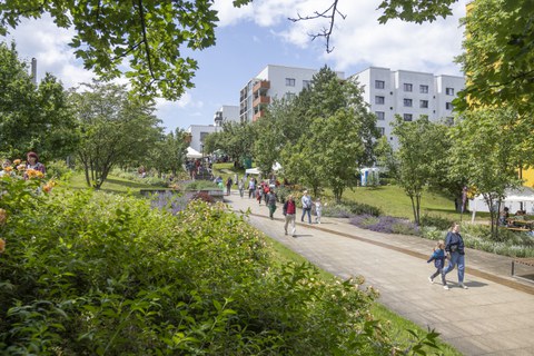 Die Fakultät Bauingenieurwesen zu Gast beim Westhangfest Dresden-Gorbitz 2026