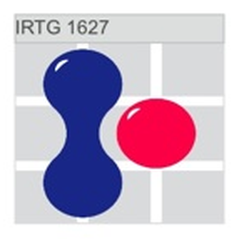 Logo IRTG 1627