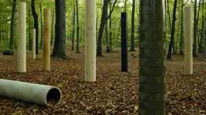 Formholzrohre im Wald
