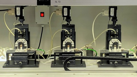 Leibniz-Institut für Polymerforschung TUD 3